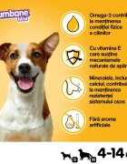 PEDIGREE Jumbone Mini recompense câini Vită și Pasăre batoane 4 buc 160g