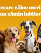 PEDIGREE Junior Mini XS-S Pasăre și Legume hrană uscată câini junior 1.4kg