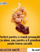 PEDIGREE Junior Selectie Mixta XS-XL Carne și Orez plic hrană umedă câini junior (în aspic) bax 400g x 13buc