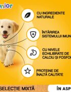 PEDIGREE Junior Selectie Mixta XS-XL Carne și Orez plic hrană umedă câini junior (în aspic) bax 400g x 13buc
