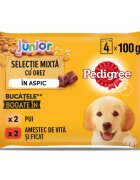PEDIGREE Junior Selectie Mixta XS-XL Carne și Orez plic hrană umedă câini junior (în aspic) multipack 100g x 4buc