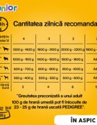 PEDIGREE Junior XS-XL Pui conservă hrană umedă câini junior (în aspic) 400g