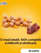PEDIGREE Junior XS-XL Pui conservă hrană umedă câini junior (în aspic) bax 400g x 24buc
