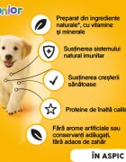 PEDIGREE Junior XS-XL Pui conservă hrană umedă câini junior (în aspic) bax 400g x 24buc