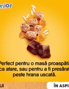 PEDIGREE Junior XS-XL Pui plic hrană umedă câini junior (în aspic) bax 100g x 24buc