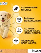 PEDIGREE Junior XS-XL Pui plic hrană umedă câini junior (în aspic) bax 100g x 24buc