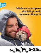 PEDIGREE Rodeo recompense câini batoane Vită 70g