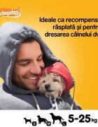 PEDIGREE Schmackos Multi Mix recompense câini benzi moi carne 20buc
