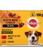 PEDIGREE Selectie Mixtă XS-XL Vită și Curcan plic hrană umedă câini (în sos) bax 400g x 13buc