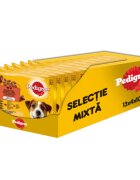 PEDIGREE Selectie Mixtă XS-XL Vită și Pasăre plic hrană umedă câini (în aspic) bax 400g x 13buc