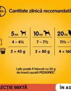 PEDIGREE Selectie Mixtă XS-XL Vită și Pasăre plic hrană umedă câini (în aspic) bax 400g x 13buc
