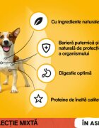 PEDIGREE Selectie Mixtă XS-XL Vită și Pasăre plic hrană umedă câini (în aspic) bax 400g x 13buc
