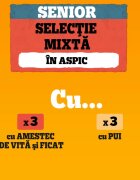 PEDIGREE Senior Mix XS-M Vită și Pui plic hrană umedă câini senior (în aspic) multipack 100g x 4buc