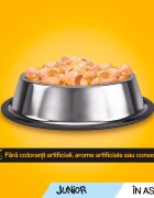 PEDIGREE Vital Protection Junior Multipack 4 arome pachet mixt plic hrană umedă câini junior (în aspic) 100g x 12