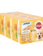 PEDIGREE Vital Protection Junior Multipack 4 arome pachet mixt plic hrană umedă câini junior (în aspic) 100g x 12