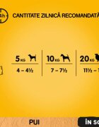 PEDIGREE XS-XL Pui și Legume plic hrană umedă câini (în sos) 100g
