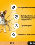 PEDIGREE XS-XL Pui și Legume plic hrană umedă câini (în sos) 100g