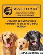 PEDIGREE XS-XL Pui și Morcov conservă hrană umedă câini (în aspic) 1200g