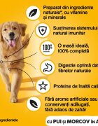 PEDIGREE XS-XL Pui și Morcov conservă hrană umedă câini (în aspic) 1200g