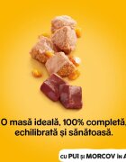PEDIGREE XS-XL Pui și Morcov conservă hrană umedă câini (în aspic) 1200g