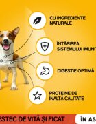 PEDIGREE XS-XL Vită plic hrană umedă câini (în aspic) 100g