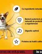 PEDIGREE XS-XL Vită și Miel plic hrană umedă câini (în sos) 100g