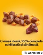PEDIGREE XS-XL Vită și Pasăre conservă hrană umedă câini (în aspic) 1.2kg