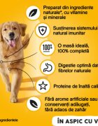 PEDIGREE XS-XL Vită și Pasăre conservă hrană umedă câini (în aspic) 1.2kg