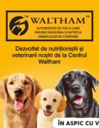 PEDIGREE XS-XL Vită și Pasăre conservă hrană umedă câini (în aspic) 1.2kg