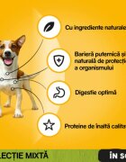 PEDIGREE XS-XL Vită și Pasăre plic hrană umedă câini (în sos) bax 400g x 13buc