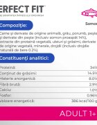 PERFECT FIT Cat Adult 1+ Somon hrană uscată pisici 750g