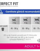 PERFECT FIT Cat Adult 1+ Somon hrană uscată pisici 750g