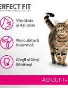 PERFECT FIT Cat Adult 1+ Somon hrană uscată pisici 750g
