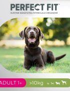 PERFECT FIT Dog Adult 1+ M Pui hrană uscată câini 6kg