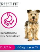 PERFECT FIT Dog Adult Small XS-S Pui hrană uscată câini 1.4kg