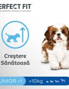 PERFECT FIT Dog Junior Small XS-S Pui hrană uscată câini junior 825g
