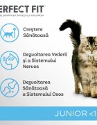 PERFECT FIT Kitten Pui hrană uscată pisici junior 750g