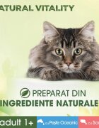 PERFECT FIT Natural Vitality Somon și Pește plic hrană umedă fără cereale pisici (în sos) multipack 50g x 6buc