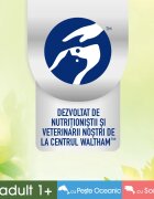 PERFECT FIT Natural Vitality Somon și Pește plic hrană umedă fără cereale pisici (în sos) multipack 50g x 6buc
