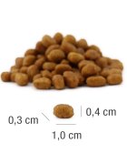 Platinum MeatCrisp Kitten Pui hrană uscată pisici junior deshidratat 1.5kg