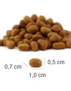 Platinum MeatCrisp Pui hrană uscată pisici deshidratat 1.5kg
