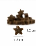 Platinum Stars XS-XL Somon punguță recompense fără cereale câini 185g