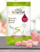 Platinum Vetactive Sensitive XS-XL Curcan hrană uscată câini sistem digestiv semimoist 1.5kg