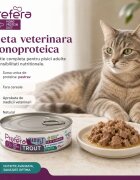 PREFERA MPD Păstrăv dietă veterinară conservă hrană umedă monoproteică fără cereale pisici (în suc propriu) 85g