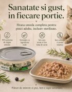 PREFERA Pro H&T Fillets Mistreț conservă hrană umedă fără cereale pisici (în supă) 70g
