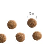 PRIMA DOG XS-XL Pui și Cartofi hrană uscată câini 10kg