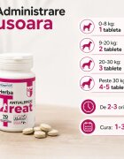 Promedivet Herba-Treat Antialergic supliment sistem imunitar & alergii câini comprimate Herba-Treat Antialergic XS-XL supliment sistem imunitar & alergii câini și pisici flacon 70 comprimate