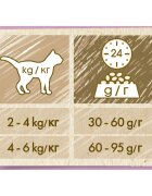 Purina Cat Chow Sensitive Somon hrană uscată pentru pisici sensibilități digestive 15kg