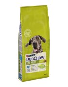 Purina Dog Chow Adult L-XL Curcan hrană uscată câini 14kg