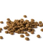 Purina Dog Chow Adult M Pui hrană uscată câini 2.5kg